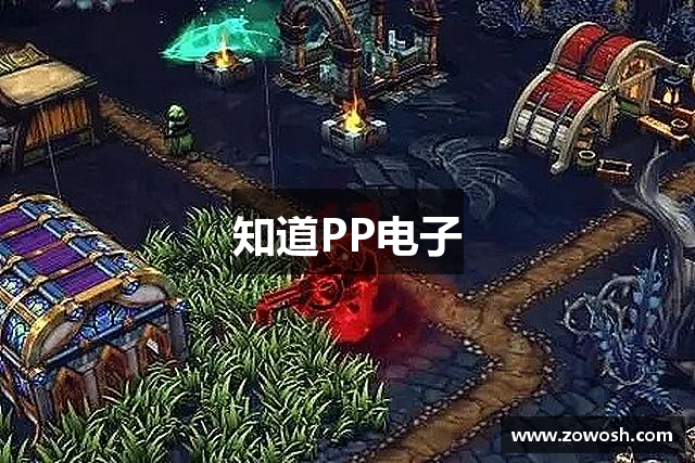 知道PP电子