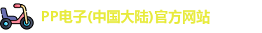 PP电子